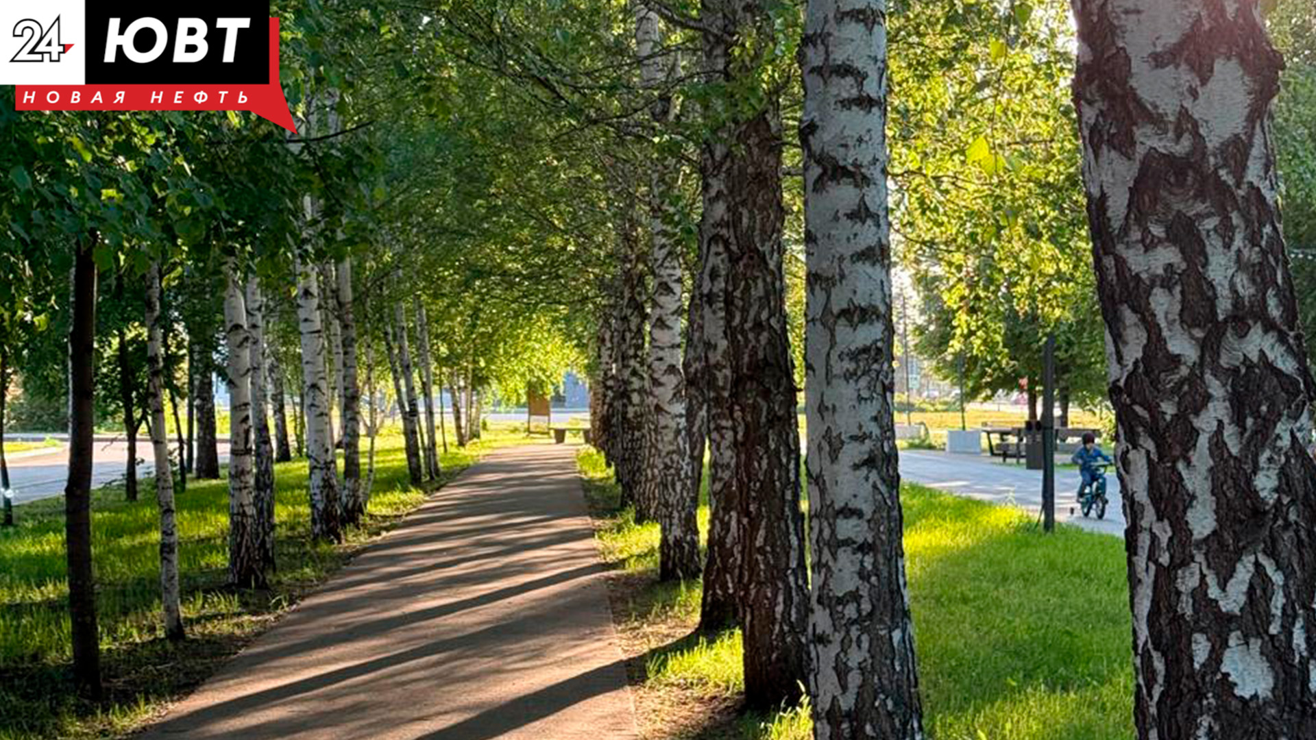 комсомольский парк пейзаж в альметьевске